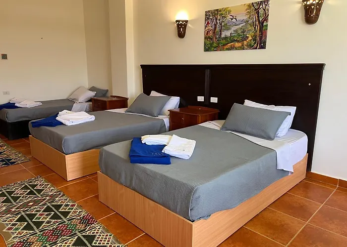 Star House (adults Only) 2* Марса-Алам